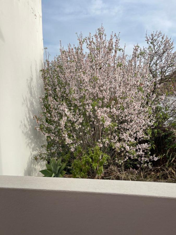 Casa Da Aldeia - Guest House Odiáxere Екстериор снимка